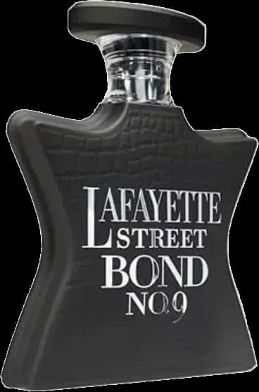 Lafayette Street — vista 1