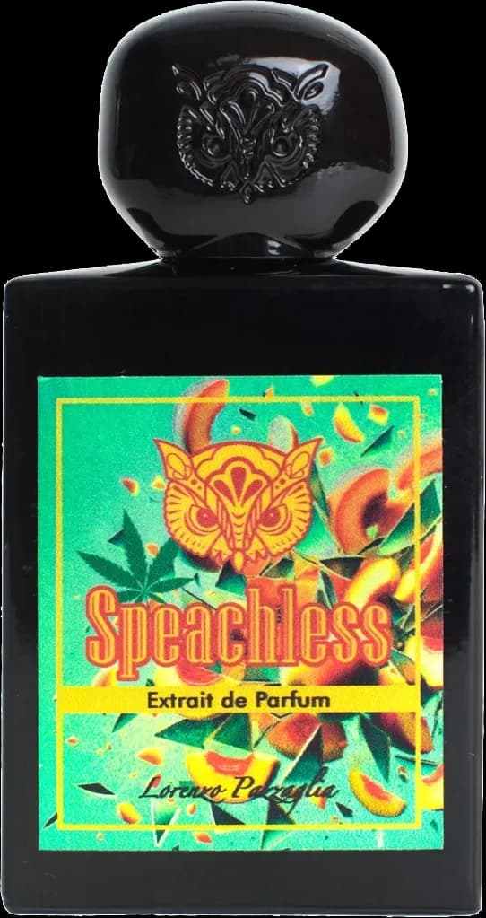 Speachless — vista 1