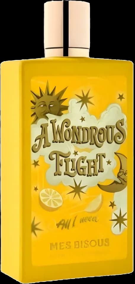 A Wondrous Flight — vista 1