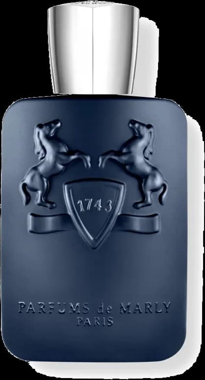 Layton EDP — vista 1