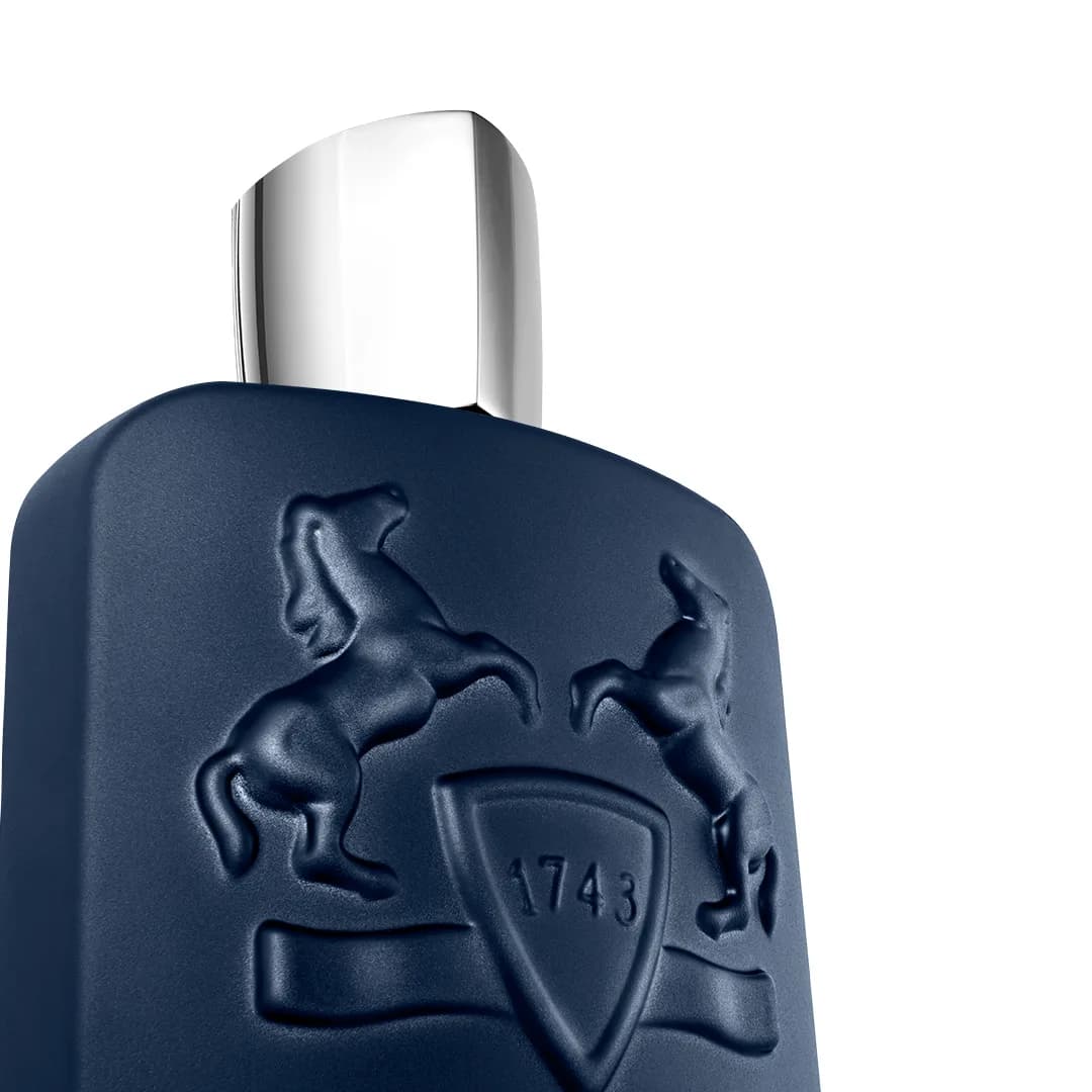 Layton EDP — vista 2