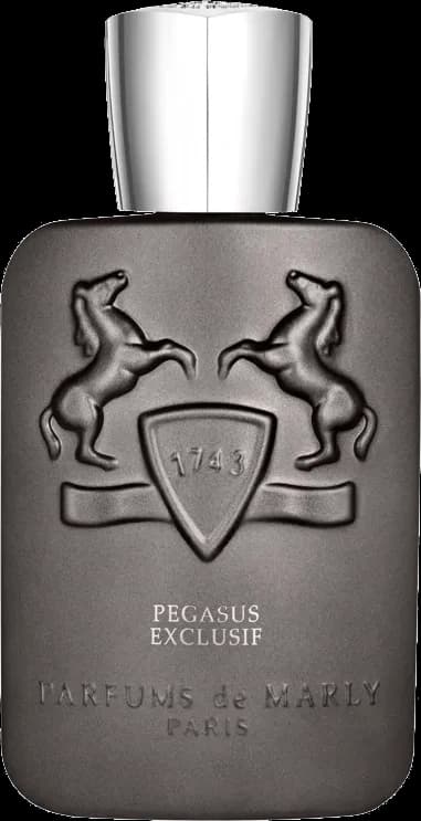 Pegasus Exclusif — vista 1