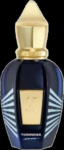 Torino 25