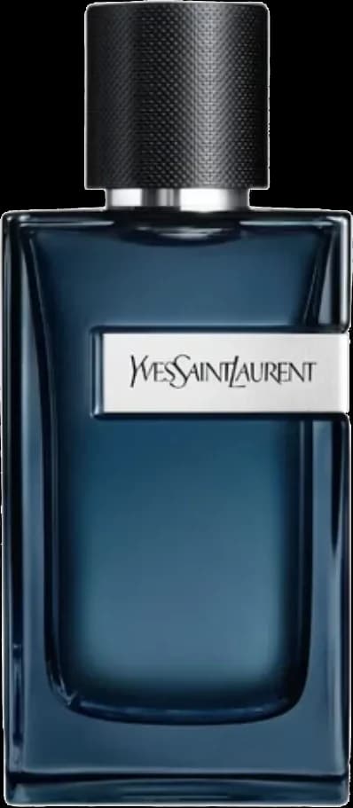 Y EDP Intense